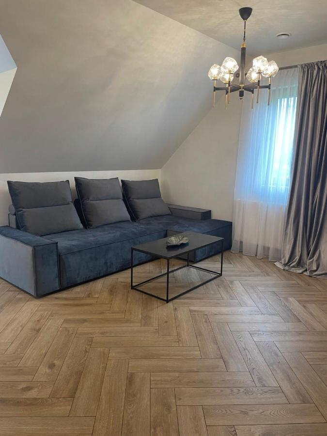Mazoji Vila Birštonas Екстериор снимка